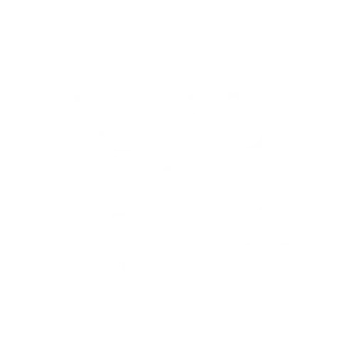 Logo de fullblock blanco